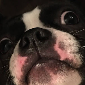 Meet your Posher, Nicole